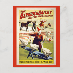 Postal Restaurados, Barnum y Bailey, gansos y burro
