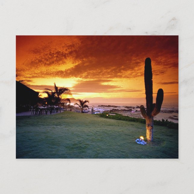 Postal Restaurante La Concha, Baja, México (Anverso)