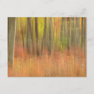 Postal Resumen de bosques otoñales