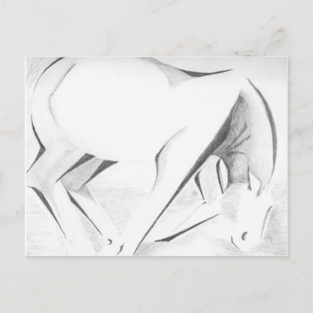 Postal Resumen de caballos de Borrador (Anverso)