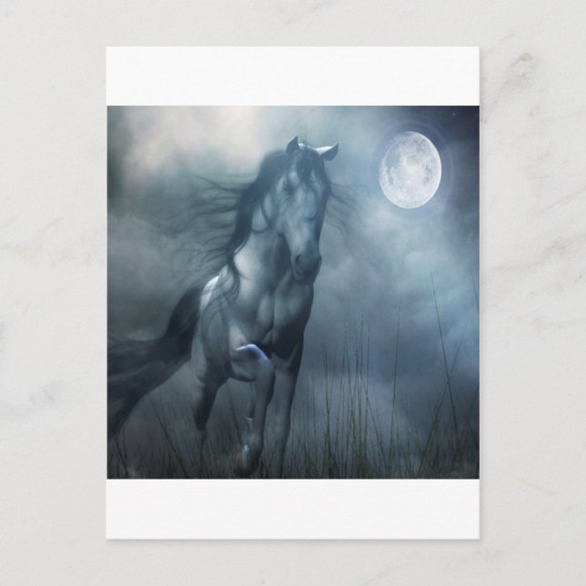 Postal Resumen de caballos de luna para animales (Anverso)