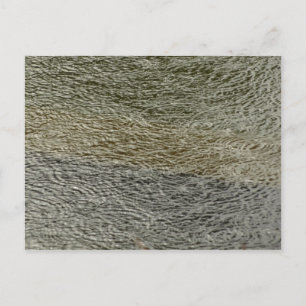 Postal Resumen de fotografía de la naturaleza de Raindrop