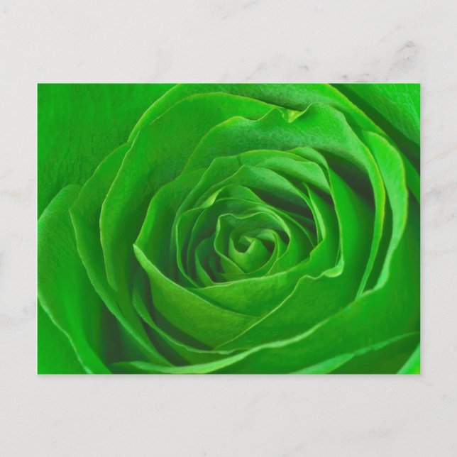 Postal Resumen de fotos del centro de Rosas verde esmeral (Anverso)