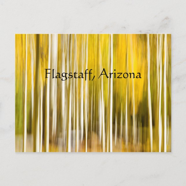 Postal Resumen de la flagstaff de Aspen en Arizona (Anverso)