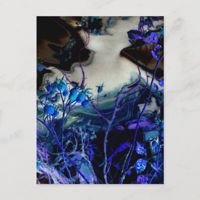 Postal Resumen de las caderas de Rosa alteradas digitalme (Anverso)