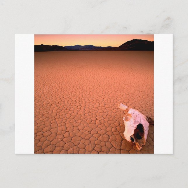 Postal Resumen del Valle de la Muerte Seca Ósea (Anverso)
