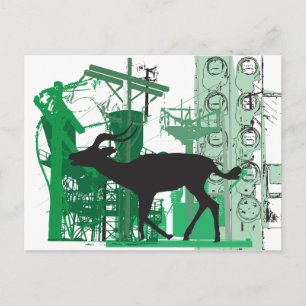 Postal Resumen Impala Postcard
