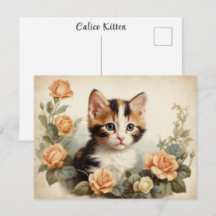 Postal Retrato Antiguo Gatito Calico Lindo Flores Dulce