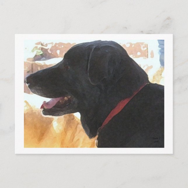 Postal Retrato bonito de Black Lab - Rancho Perro Lover (Anverso)