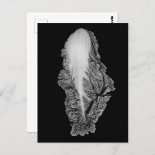 Postal Retrato chino de col