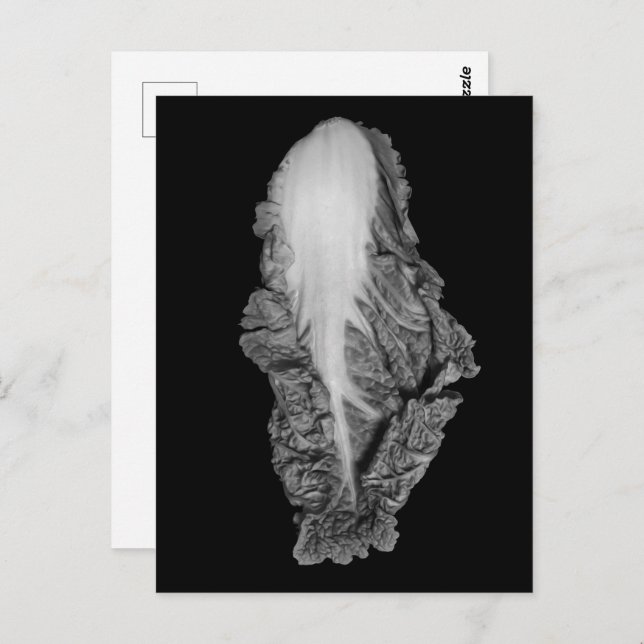 Postal Retrato chino de col (Anverso / Reverso)