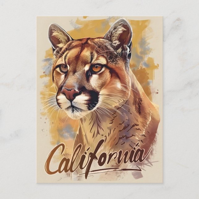 Postal Retrato Cougar de león de montaña de California (Anverso)