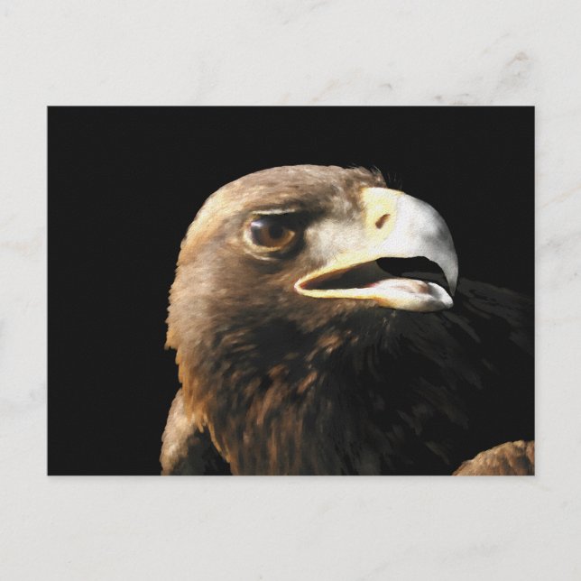 Postal Retrato de águila dorada (Anverso)