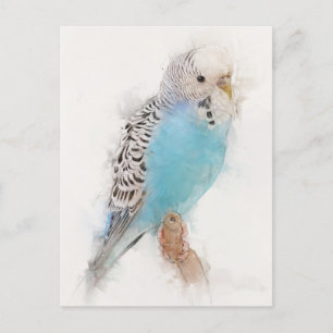 Postal Retrato de Blue Budgie