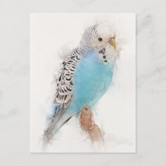 Postal Retrato de Blue Budgie