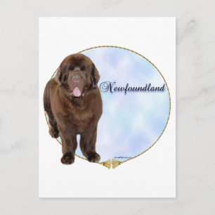 Postal Retrato de Brown Newfoundland