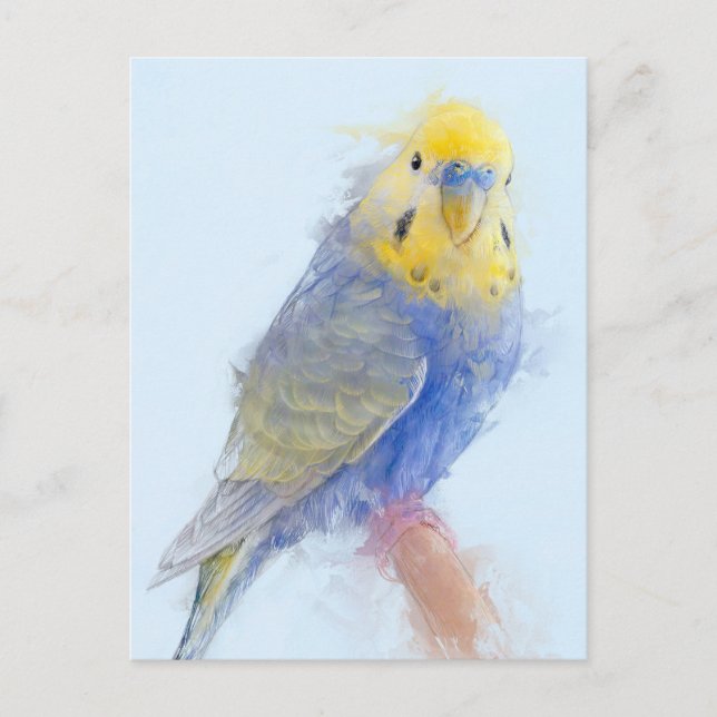 Postal Retrato de Budgie No.10 (Anverso)