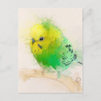Postal Retrato de Budgie No.15