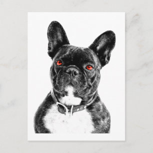 Postal Retrato de Bulldog francés Ruby Eyed