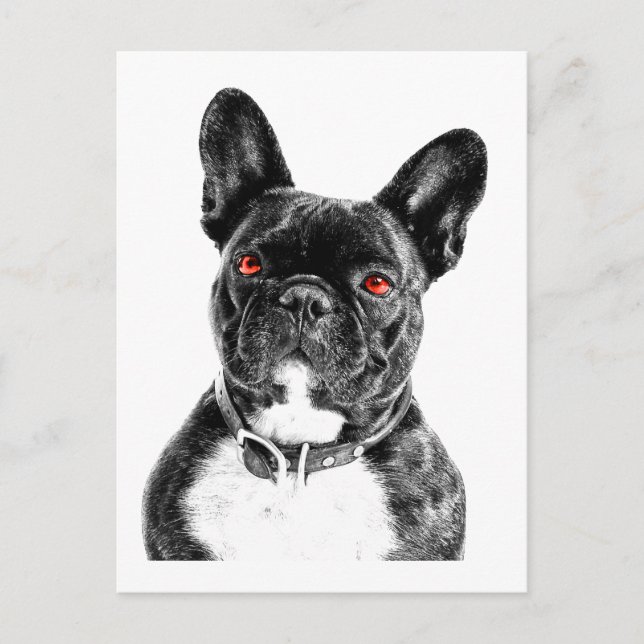 Postal Retrato de Bulldog francés Ruby Eyed (Anverso)