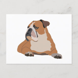 Postal Retrato de Bulldog Inglés 