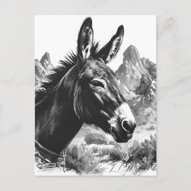 Postal Retrato de burro blanco y negro en el suroeste (Anverso)