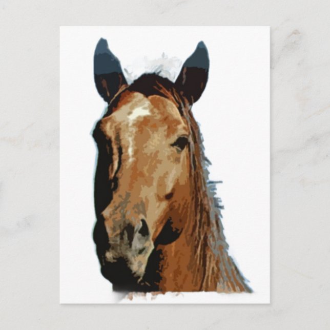 Postal Retrato de caballo (Anverso)
