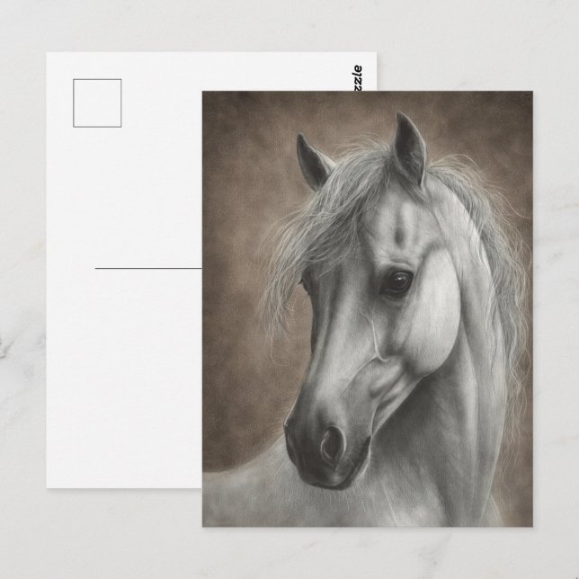 Postal Retrato de caballo blanco pintado a mano (Anverso / Reverso)