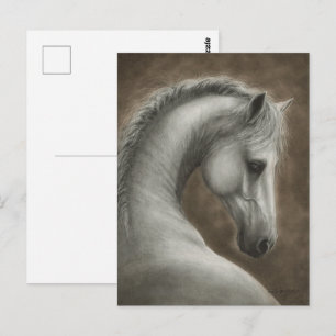 Postal Retrato de caballo blanco pintado a mano