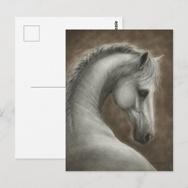 Postal Retrato de caballo blanco pintado a mano (Anverso / Reverso)