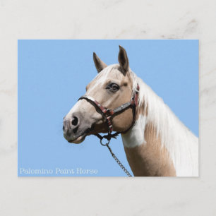 Postal Retrato de caballo de Palomino Paint