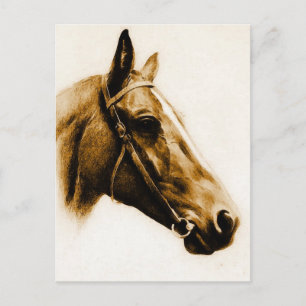 Postal Retrato de caballo de tonos marrones
