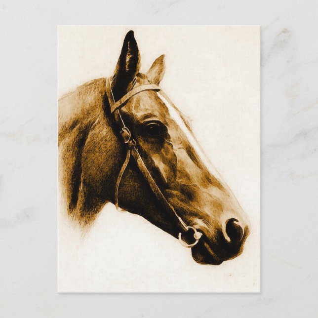 Postal Retrato de caballo de tonos marrones (Anverso)