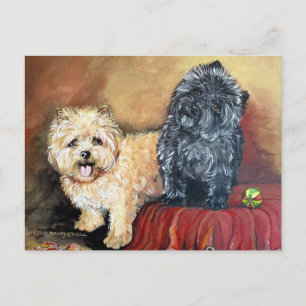 Postal Retrato de Cairn Terrier