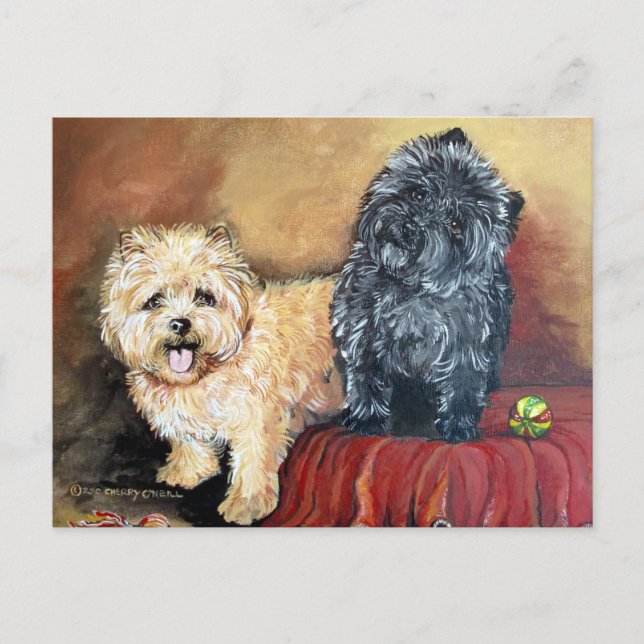 Postal Retrato de Cairn Terrier (Anverso)
