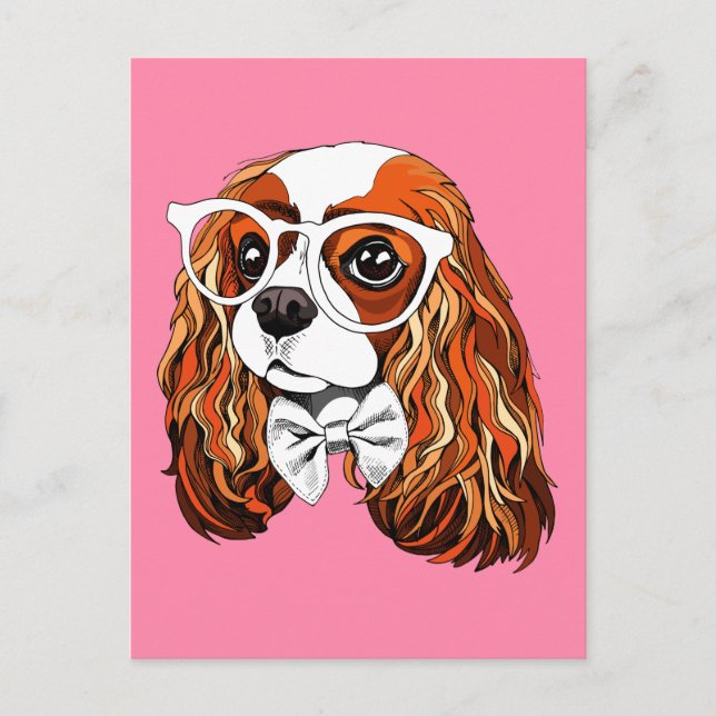 Postal Retrato de Cavalier King Charles Spaniel (Anverso)