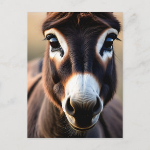 Postal Retrato de cerca de burro curioso