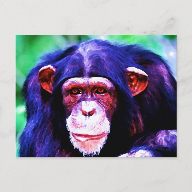 Postal Retrato de Chimpanzee (Anverso)