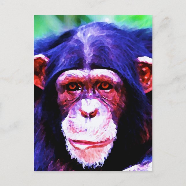 Postal Retrato de Chimpanzee (Anverso)