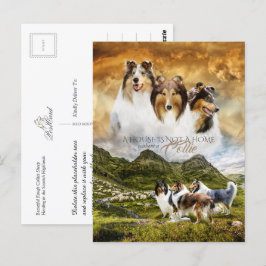 Postal Retrato de colmenas en bruto y manada de ovejas +