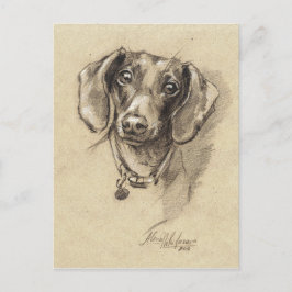 Postal Retrato de Dachshund