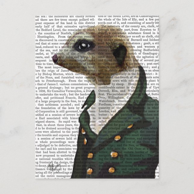 Postal Retrato de Dandy Meerkat (Anverso)