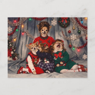 Postal Retrato de familia caótica retro de Chihuahua en N