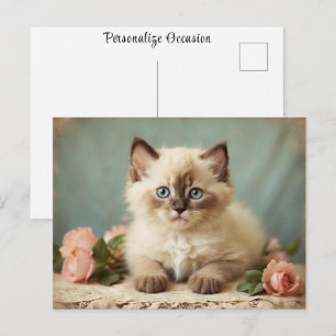 Postal Retrato de gatito adorable y vintage de ragdoll co