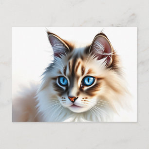 Postal Retrato de gato Fluffy Ragdoll con ojos azules
