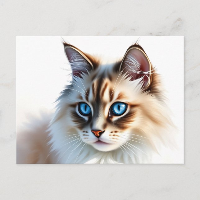 Postal Retrato de gato Fluffy Ragdoll con ojos azules (Anverso)