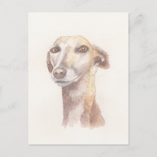 Postal Retrato de Greyhound (Anverso)
