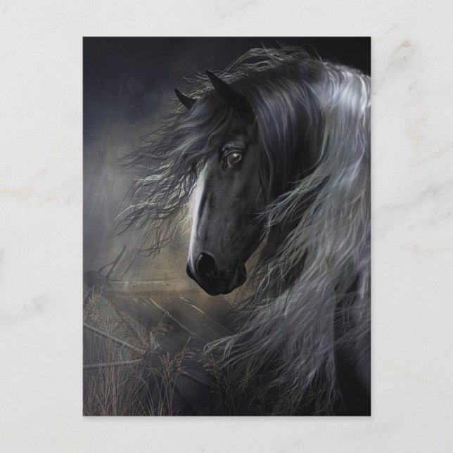 Postal Retrato de Gypsy Vanner (Anverso)