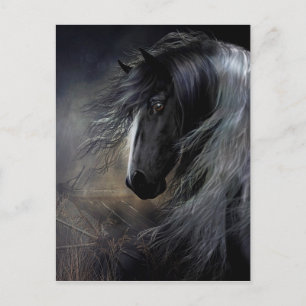 Postal Retrato de Gypsy Vanner