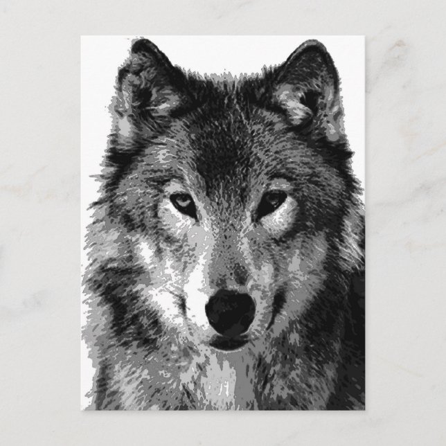 Postal Retrato de lobo blanco y negro (Anverso)